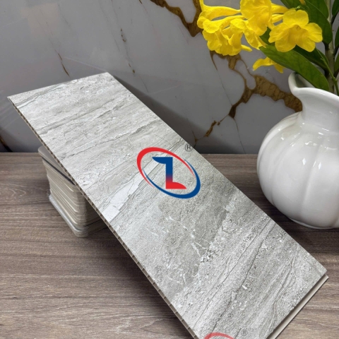 Tấm Ốp Tường Nano 8425